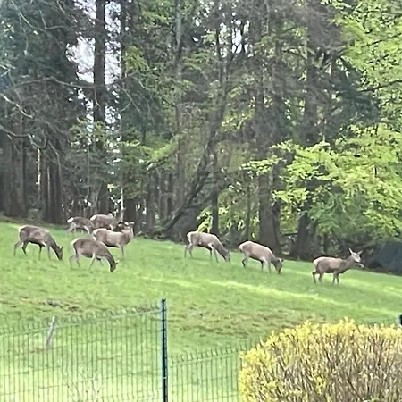 Marguerite Apartamento *