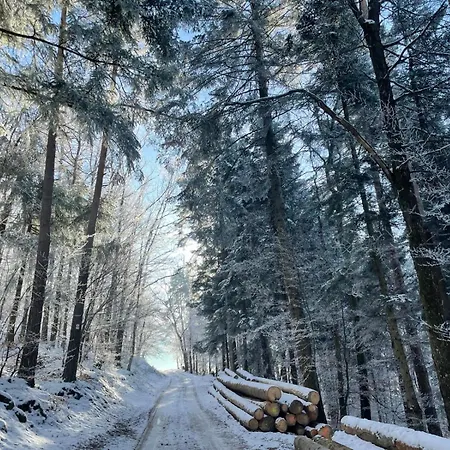 아파트 Marguerite